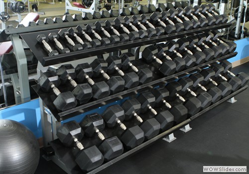 Large Selection of Free Weights